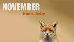 一隻微笑的狐狸閉著眼睛，文字寫著November Mmmm Turkey。 — 可愛感恩節 壁紙