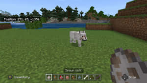 一隻白狼在Minecraft遊戲世界中，有草、水和樹木。 — 我的世界 壁紙