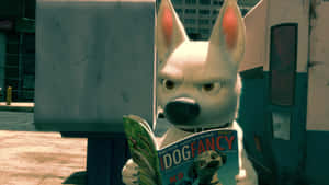 一隻憤怒的白色動畫狗在公車站閱讀《Dog Fancy》雜誌。 — 迪士尼反派 壁紙