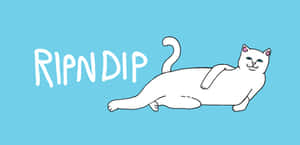 白色卡通貓在藍色背景上躺著，帶有「RIPNDIP」文字。 — 美學貓咪動圖 壁紙