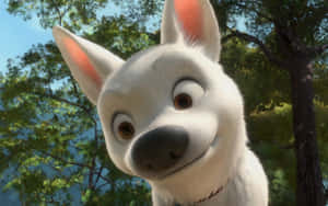 Bolt 圖片 — 黃金獵犬幼犬 壁紙