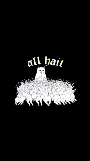 一隻貓坐在一群貓咪之上，上方有文字 all hail。 — 撕裂 壁紙