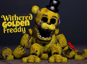來自FNAF 2的枯萎金色弗雷迪，一隻受損的黃色電子熊，露出電線。 — 惡夢佛萊迪 壁紙