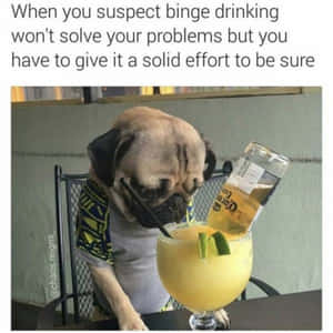 巴哥犬穿著圖案襯衫喝瑪格麗特酒，旁邊有龍舌蘭酒瓶。 — 大笑 壁紙