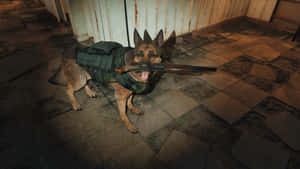 穿著軍用裝備的德國牧羊犬在夜間室內叼著步槍。 — 卡通狗 壁紙