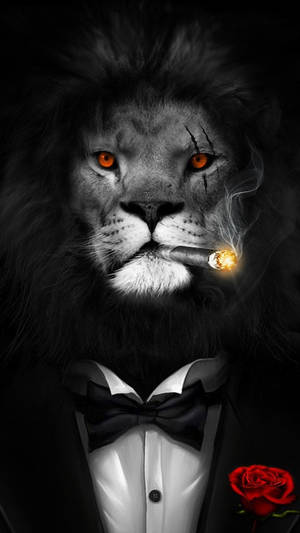 一隻穿著燕尾服的獅子正在抽煙，旁邊有一朵紅玫瑰。 — 抽菸 壁紙