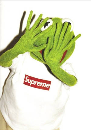 綠色青蛙玩偶穿著白色Supreme T恤，用手遮住臉。 — 科米蛙 壁紙