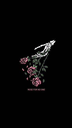 骷髏手拿著粉紅玫瑰，附有文字 rose for no one — 黑玫瑰 壁紙