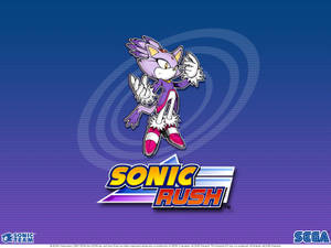 Sonic Rush遊戲標誌， featuring 一隻紫色刺蝟角色在運動中。 — 布雷茲貓 壁紙