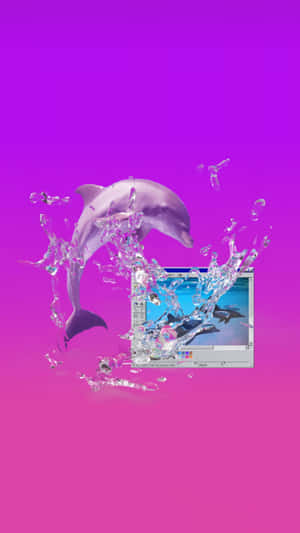 一隻紫色海豚跳過水花，帶有數位照片編輯器視窗。 — 海豚 GIF 壁紙