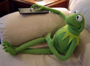 綠色Kermit the Frog絨毛玩具在沙發上拿著遙控器放鬆。 — 科米蛙 壁紙