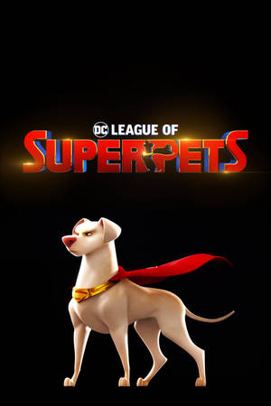 一隻白狗，披著紅色斗篷和黃色腰帶，在DC League of Super-Pets標題下。 — DC超級寵物軍團 壁紙