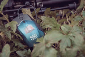 一隻藍色PUBG電競滑鼠藏在綠色植物中，後面有一把步槍。 — 酷炫遊戲 壁紙