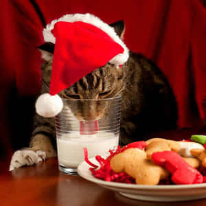 戴聖誕帽的虎斑貓在餅乾旁喝牛奶。 — 可愛聖誕 iPhone 壁紙