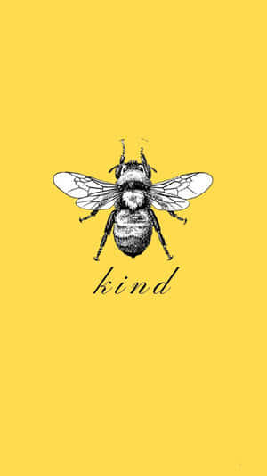 一隻黑白插圖的大黃蜂，黃色背景上寫有kind一詞。 — 蜜蜂 壁紙