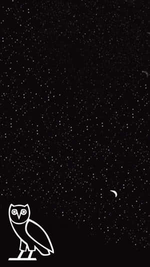 星空下貓頭鷹的白色線條藝術，帶新月。 — 插畫 iPhone 壁紙