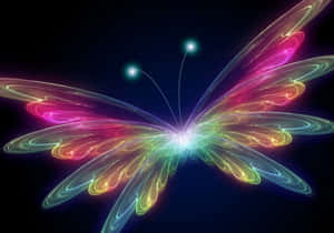 一隻發光的彩虹蝴蝶，帶有旋轉的翅膀，在黑暗背景下。 — 淺色 壁紙
