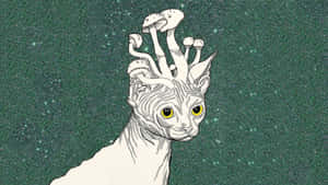 頭頂有蘑菇的斯芬克斯貓，背景為藍綠色星空 — 野生動物 壁紙