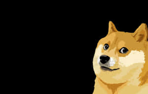一隻卡通柴犬帶著得意的表情，在黑色背景上。 — 可愛小狗 壁紙