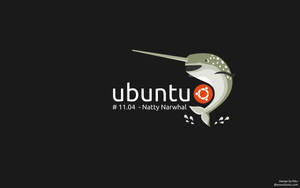 Ubuntu Natty Narwhal標誌，在黑色背景上帶有風格化的獨角鯨和發行文字。 — 獨角鯨 壁紙
