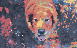 黃金獵犬的臉在色彩繽紛的抽象顏料濺灑背景中。 — 2560x1600 壁紙