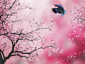 一隻藍鳥在粉紅色的春日天空中飛過飄落的櫻花。 — 日本櫻花 壁紙