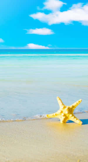 沙灘上的黃色海星與碧綠海洋和藍天 — 海灘 壁紙