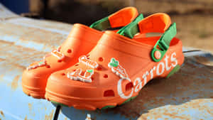 Crocs 圖片 — Crocs 壁紙