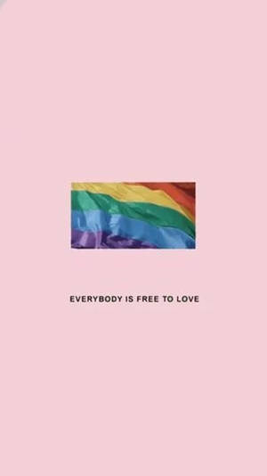 粉紅色背景上帶有文字 everybody is free to love 的彩虹旗 — 傲慢與偏見 壁紙