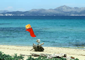 沙灘浮木上的紅黃色沙灘旗，配以碧綠海水和山巒。 — 幽靈船 壁紙