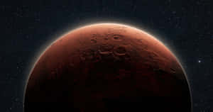 紅色行星火星在繁星點點的夜空中升起。 — 火星人布魯諾 壁紙
