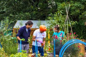 三位園丁在充滿活力的花園中一起工作，使用工具和鮮花。 — 花園 壁紙