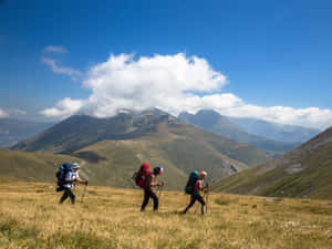 三位背著背包和拿著登山杖的遠足者，在陽光明媚的日子裡走過草坡。 — 登山 壁紙