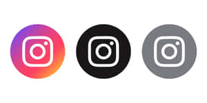 三個 Instagram 應用程式圖示在漸層色彩繽紛的黑色和灰色背景上。 — Instagram限時動態 壁紙