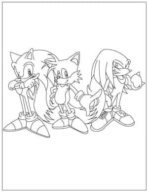 Sonic、Tails和Amy的黑白線稿，供填色用。 — 音速小子 壁紙