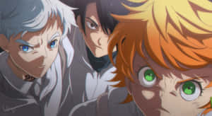 三個動漫角色帶著強烈表情向前凝視。 — 約定的夢幻島 壁紙