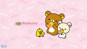 三個Rilakkuma角色在粉紅色圖案背景上享用糕點。 — 黑川伊佐那 壁紙