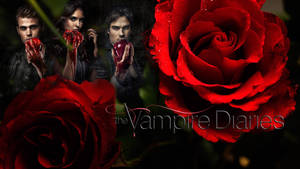 三個吸血鬼手持血淋淋的蘋果，旁邊是紅玫瑰，帶有「The Vampire Diaries」標誌。 — 噬血情人 壁紙