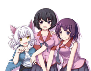 三個戴著貓耳、穿著校服的動畫女孩一起微笑。 — 物語 壁紙