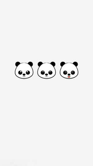 三個可愛的卡通熊貓面孔，表情多樣，置於淺灰色背景上。 — 可愛熊貓 壁紙