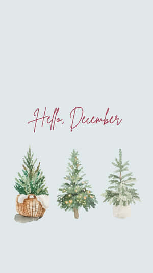 三個水彩聖誕樹，放在籃子花盆和裸花盆中，並有 hello december 文字。 — 慶祝 壁紙