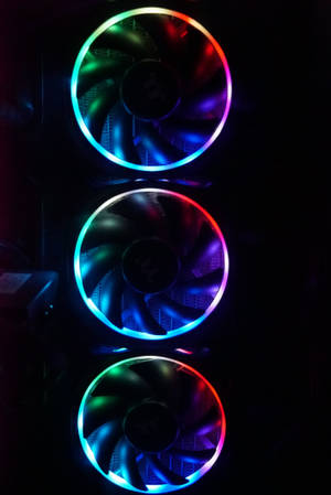 三個RGB電腦機箱風扇在黑暗中發出彩虹光芒。 — 酷炫電腦 壁紙