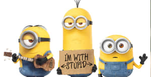 三個Minions，一個彈奏烏克麗麗，一個舉著寫有I'M WITH STUPID的牌子，一個揮手。 — 高飛 壁紙