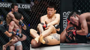 三名MMA拳手在八角籠內進行激烈的纏鬥和降服技。 — 運動 壁紙