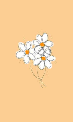 三朵簡單的雛菊，橙色花心，在蜜桃色背景上。 — 花朵美學動態圖 壁紙