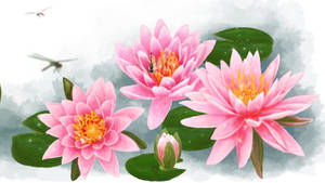 粉紅色睡蓮，蜻蜓在平靜的水面和霧氣上飛翔。 — 美學粉色GIF 壁紙