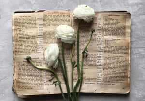 三朵白花在打開的復古食譜書頁上。 — 藝術 壁紙