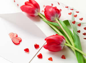白色背景上，白色信封旁的紅色鬱金香和心形裝飾。 — Tumblr 花朵 壁紙