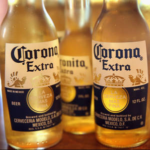 三瓶Corona Extra啤酒，裝有金色液體，放在木質表面上。 — 啤酒 壁紙