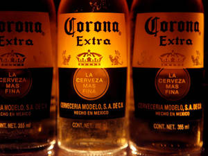 三瓶Corona Extra啤酒在溫暖燈光下發光，帶有冷凝水滴。 — 啤酒 壁紙